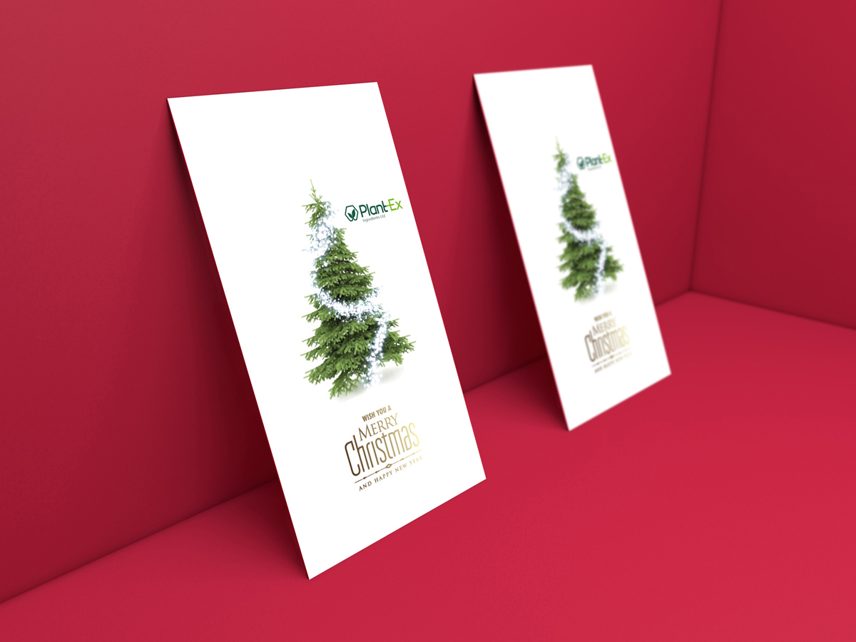Plant-Ex felicitación nvideña